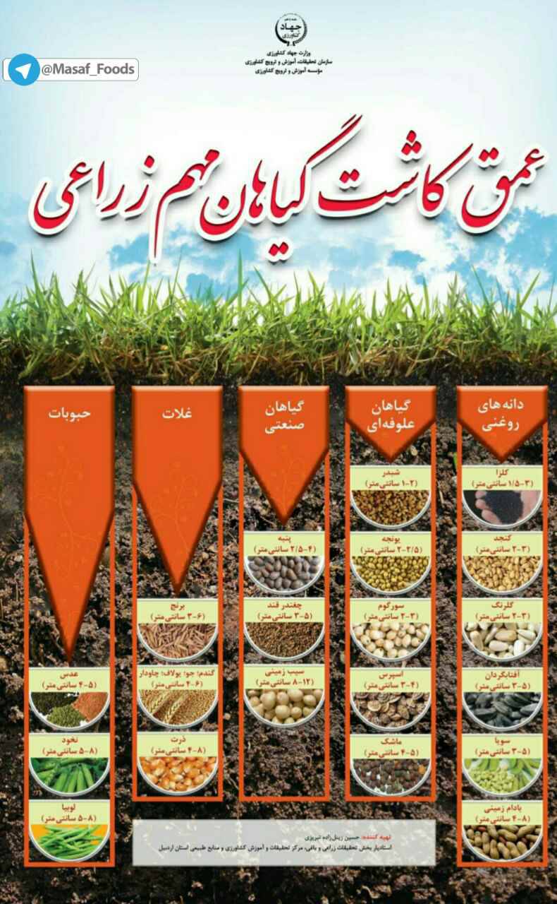 عمق کاشت گیاهان مهم زراعی